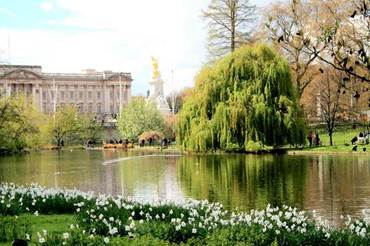 Buckingham Palace Gardens Reopen to Visitors