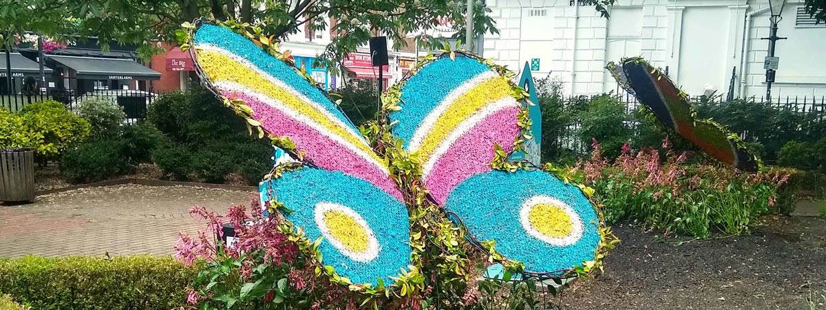 Norfolk Square Butterfly Garden