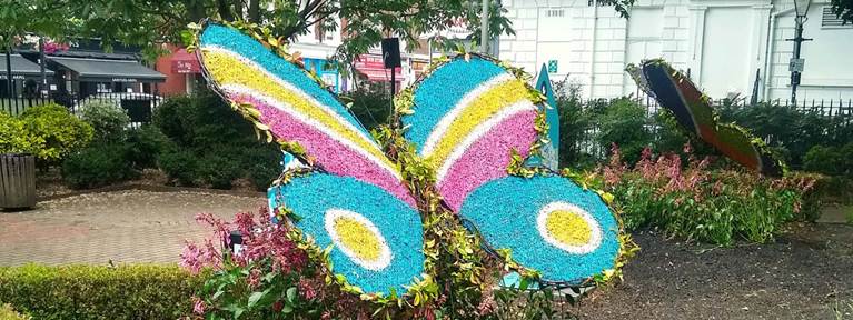 Norfolk Square Butterfly Garden