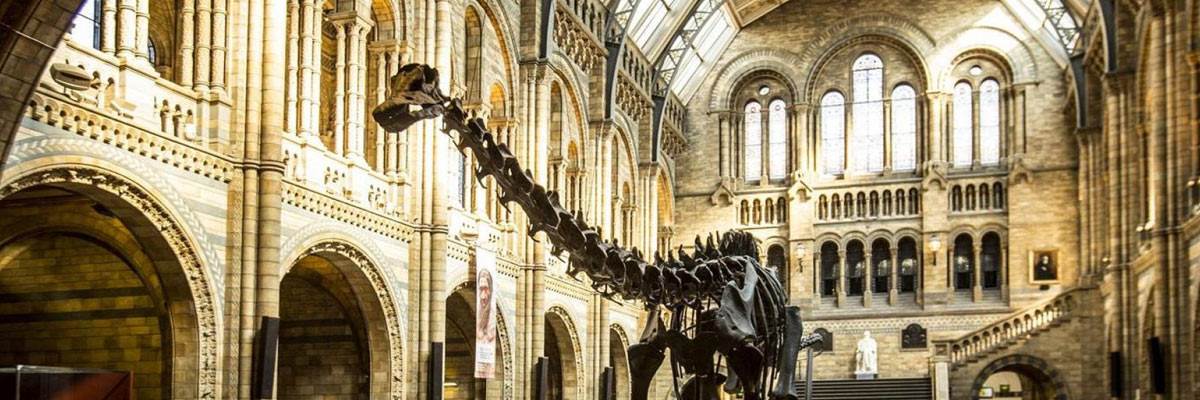 Natural History Museum