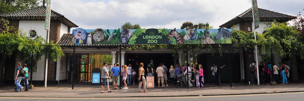 ZSL London Zoo