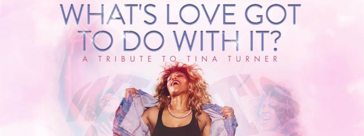 Tina Turner at Alexandra Palace Theatre