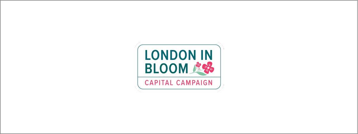 PaddingtonNow BID Wins London in Bloom Gold Award